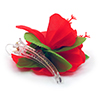 ACCESSORI HAWAII