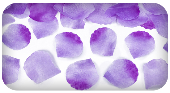 PETALI VIOLA