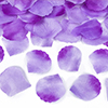 PETALI VIOLA