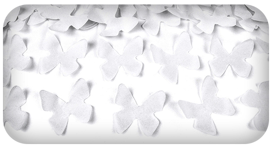 FARFALLE BIANCHE