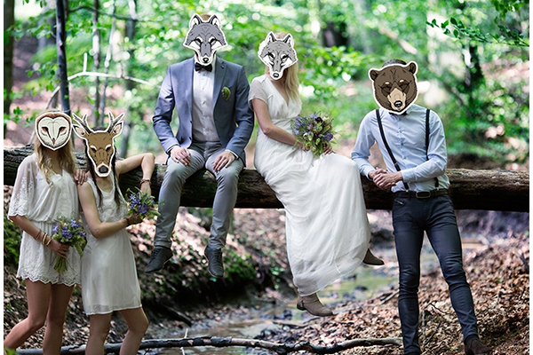 ANIMAL PARTY