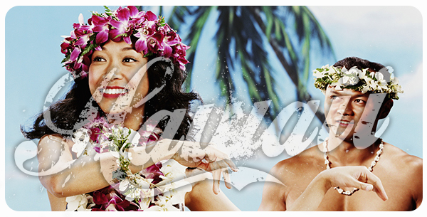 FESTA HAWAIANA