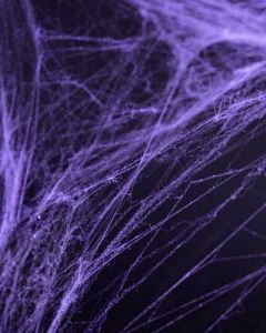 RAGNATELA VIOLA halloween 
